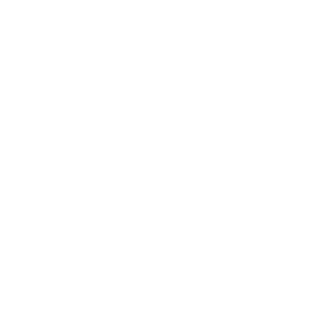 Disetti