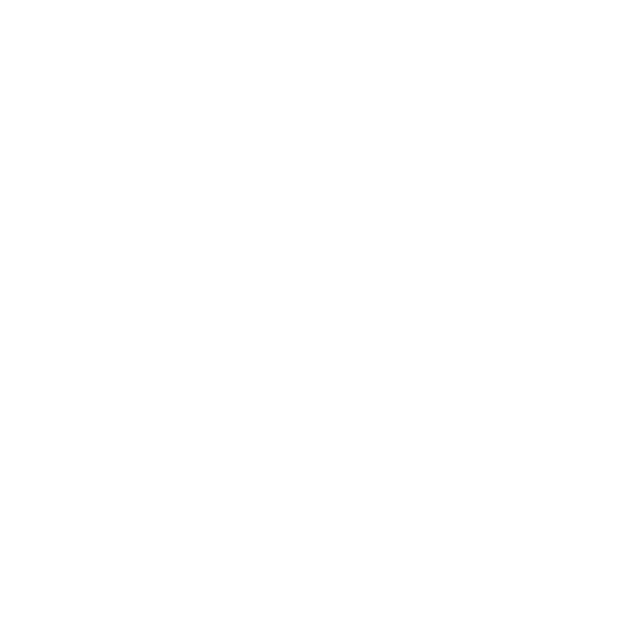 Luna X Studios